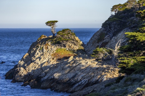 Rocky coast at Point Lobos State Natural Reserve