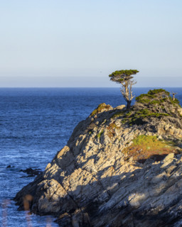 Rocky coast at Point Lobos State Natural Reserve
