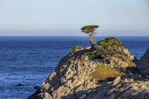Rocky coast at Point Lobos State Natural Reserve