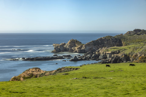 Calm ocean and rocky coast
