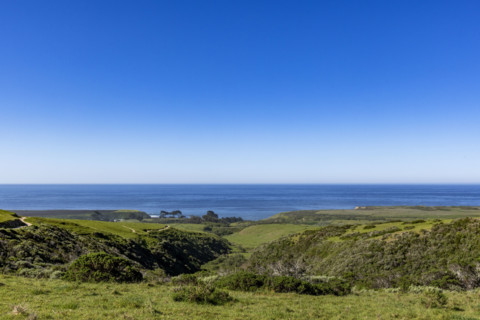 Green coast and calm sea
