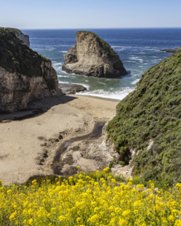 Shark Fin Cove on sunny day