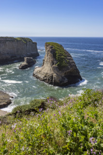 Shark Fin Cove on sunny day