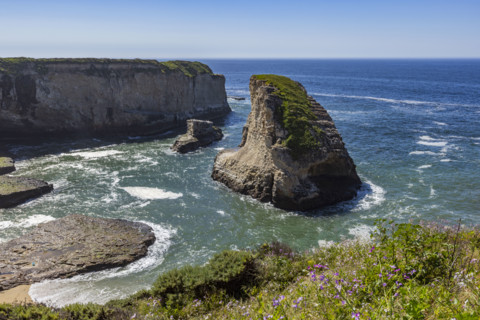 Shark Fin Cove on sunny day