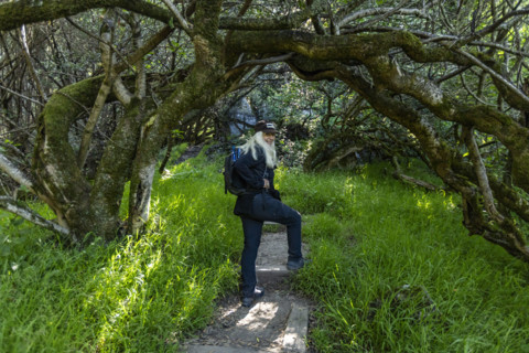 Portrait of smiling senior woman hiking at Dipsea Trail