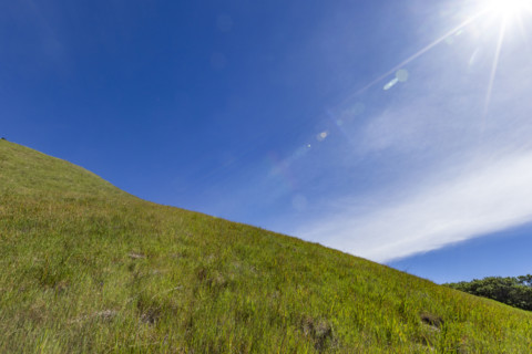 Green hill on sunny day at Dipsea Trail