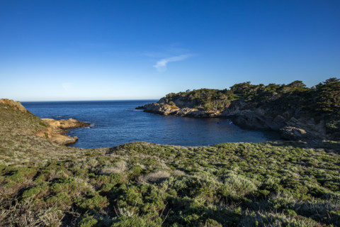 Rocky coast at Point Lobos State Natural Reserve