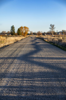 Shadow of fenceline on rural road