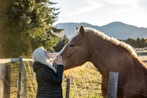 Senior blonde woman petting draft horse