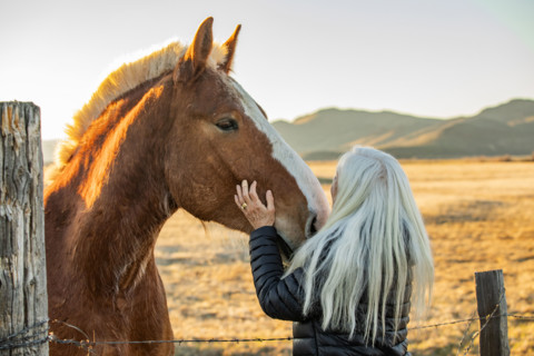 Senior blonde woman petting draft horse