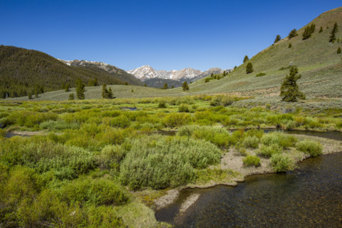 Creek flowing through valley with mountains in distance