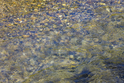 Close-up of pristine mountain creek water