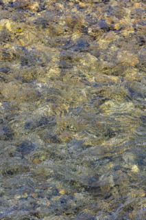 Close-up of pristine mountain creek water