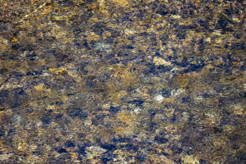 Close-up of pristine mountain creek water