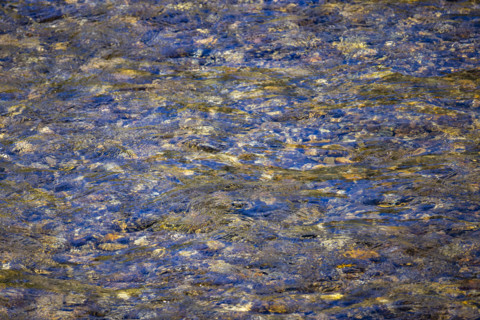 Close-up of pristine mountain creek water