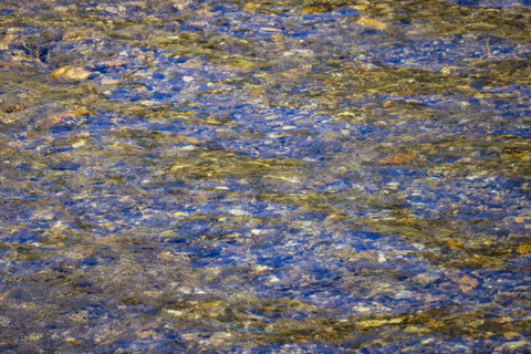 Close-up of pristine mountain creek water