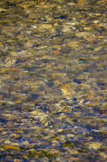Close-up of pristine mountain creek water