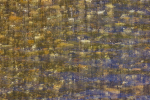Close-up of pristine mountain creek water