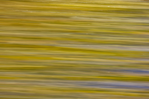 Close-up of pristine mountain creek water, motion blur