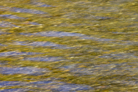 Close-up of pristine mountain creek water