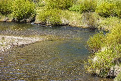 Close-up of winding mountain creek