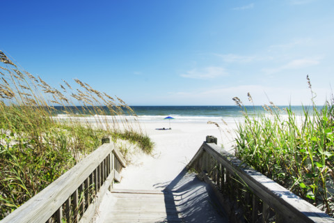 Path to empty beach on sunny day