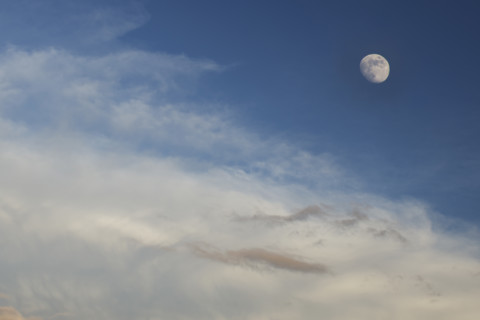 Moon rise in evening summer sky