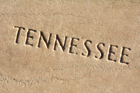 Tennessee carved in beige colored stone. Charleston, South Carolina, United States