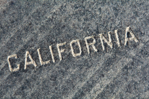 California carved in gray stone. Charleston, South Carolina, United States
