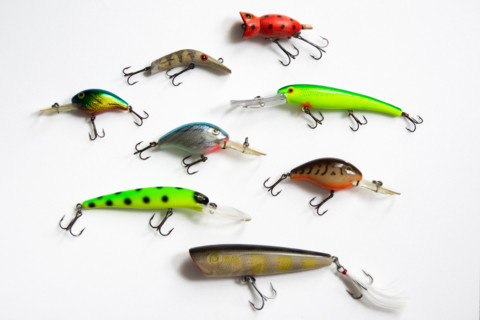 Studio shot of assorted crankbait fishing lures. Nashville, Tennessee, United States