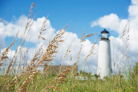 St. George Island Lighthouse with grass in foreground. St. George Island, Florida, United States