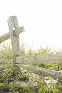Close-up of old wood fence post in field. Nantucket, Massachusetts, United States