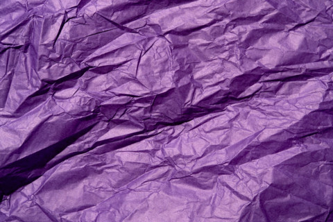 Close-up of wrinkled purple tissue paper. New york City, New York State, United States