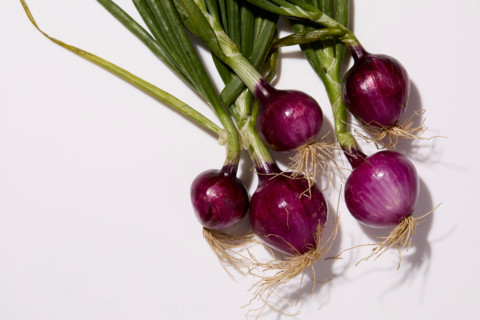 Red onions on white background. New York City, New York State, United States
