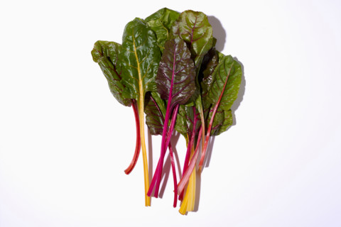 Rainbow chard on white background. New York City, New York State, United States