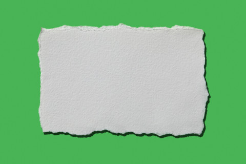 White torn paper on green background. New York City, New York State, United States