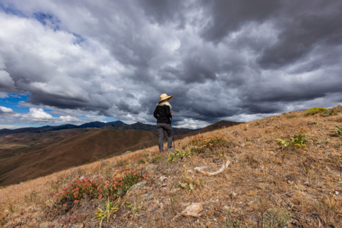 Rear view of woman on Carbonate Mountain. Hailey, Idaho, United States