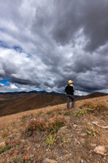 Rear view of woman on Carbonate Mountain. Hailey, Idaho, United States
