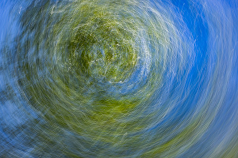 Treetops against blue sky, blurred motion. Bellevue, Idaho, United States