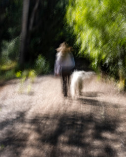 Rear view of woman and dog on footpath, blurred motion. Bellevue, Idaho, United States