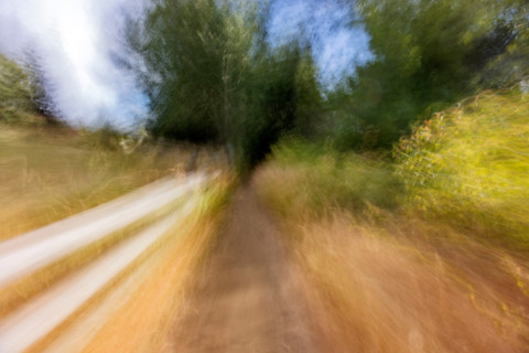 Footpath in forest, blurred motion. Bellevue, Idaho, United States