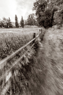 Footpath near field with fence blurred motion. Bellevue, Idaho, United States