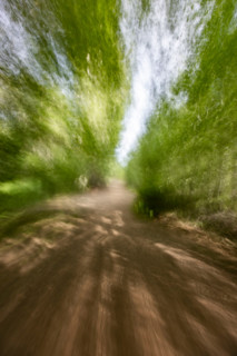 Footpath in forest, blurred motion. Bellevue, Idaho, United States