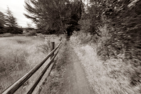 Footpath near field with fence blurred motion. Bellevue, Idaho, United States