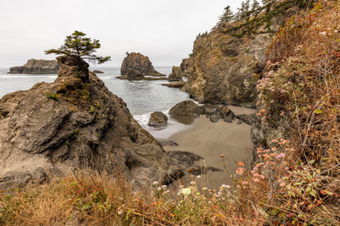 Sea stacks along Oregon coast. Gold Beach, Oregon, United States