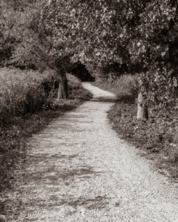 Empty rail trail path. Manchester, Vermont, United States
