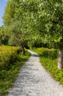 Empty rail trail path and trees. Manchester, Vermont, United States