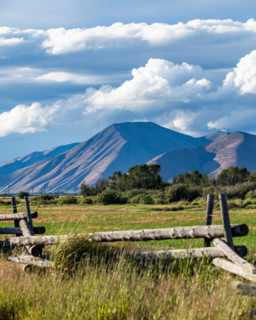 Fence in field with hills in background. Bellevue, Idaho, United States