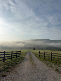 Dirt road and fields in mist at sunrise. Blacksburg, Virginia, United States