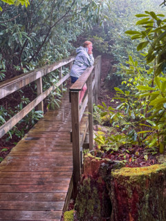 Woman relaxing on footbridge in forest on rainy day. Blacksburg, Virginia, United States